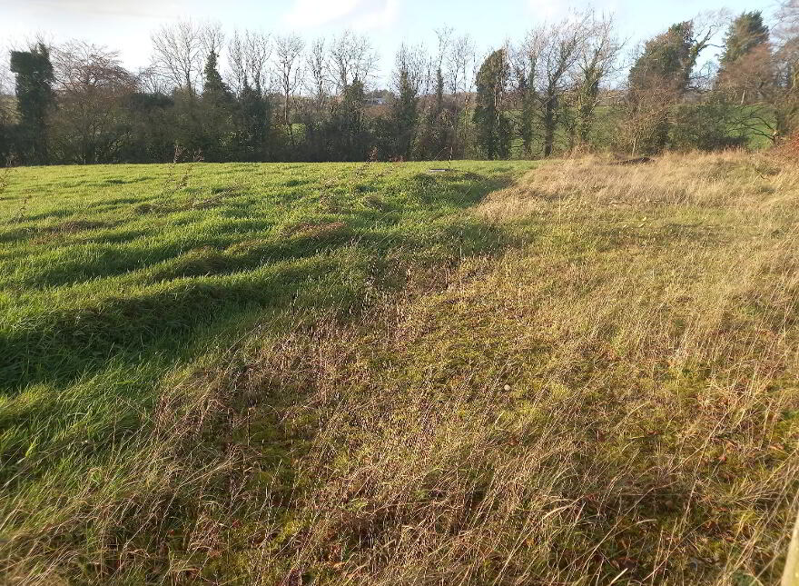 Drumbealimy, Newtownbutler