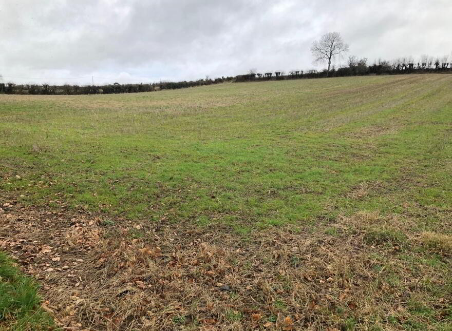 Approximately 1.76 Acre Field, Lough Road, Ballela, Banbridge photo
