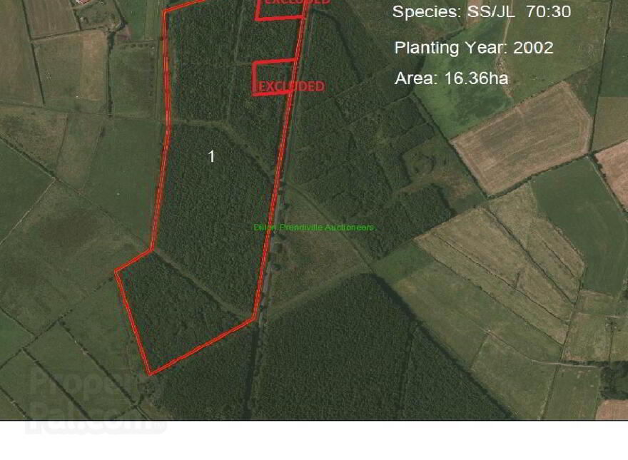 Forestry At Ballinclogher, 36.69 Acres Forestry, Lixnaw, AT photo