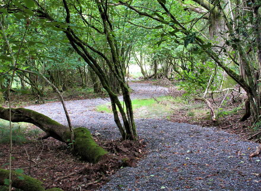Land, & Access To Private Lough, Leambeg, Enniskillen, BT74 9ED