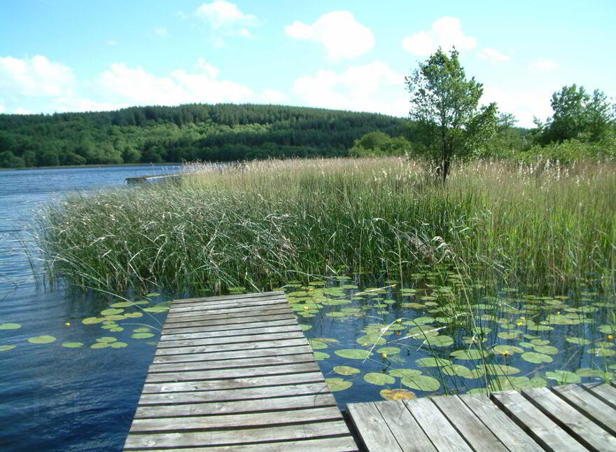 Land, & Access To Private Lough, Leambeg, Enniskillen, BT74 9ED