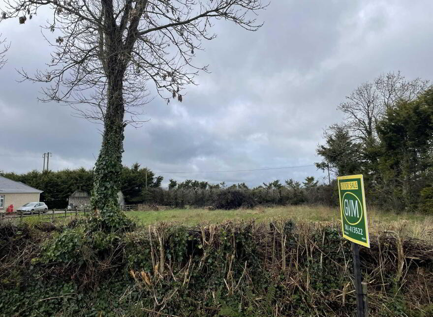 Dromelia, Murroe