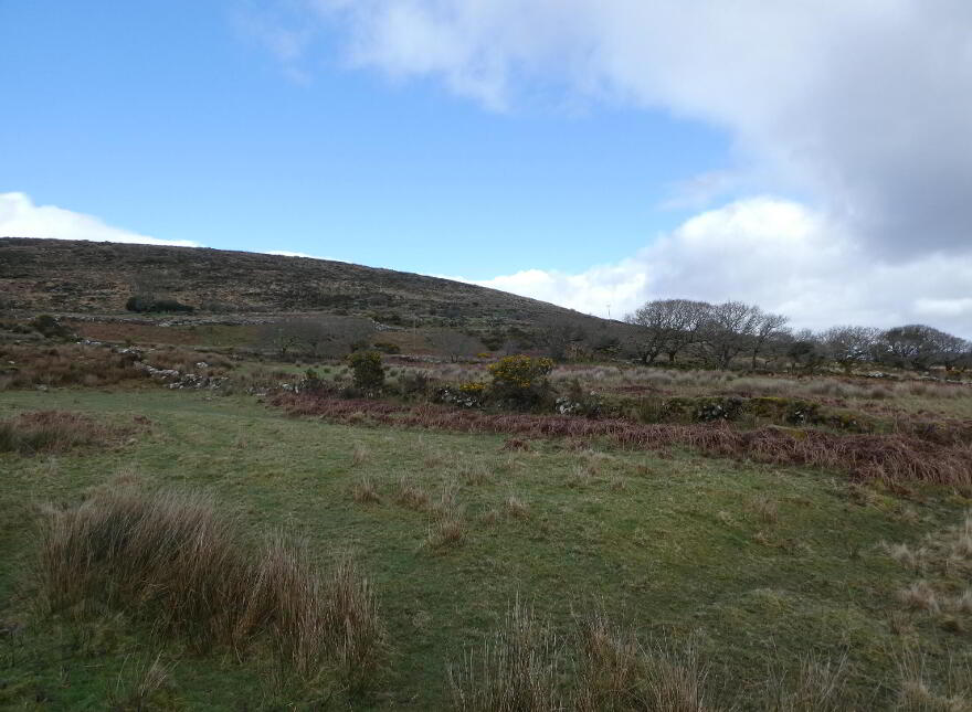 87.11 Acres, Of Agricultural Land, Derrineden, Waterville
