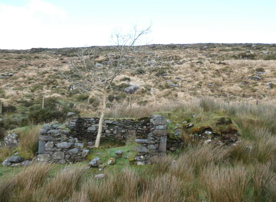 87.11 Acres, Of Agricultural Land, Derrineden, Waterville