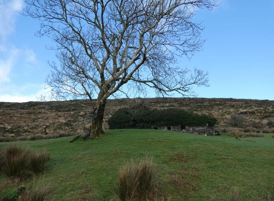 87.11 Acres, Of Agricultural Land, Derrineden, Waterville