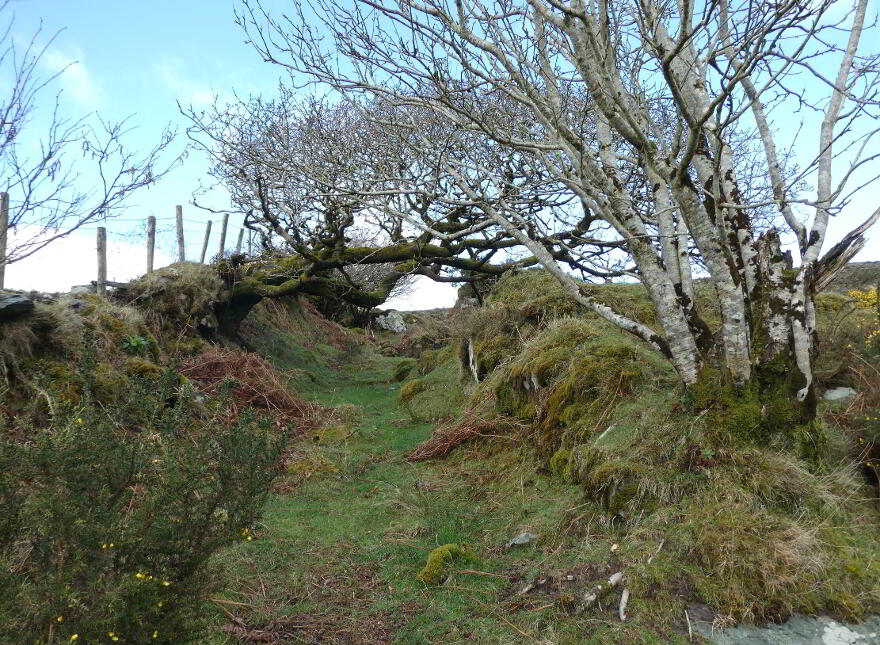 87.11 Acres, Of Agricultural Land, Derrineden, Waterville