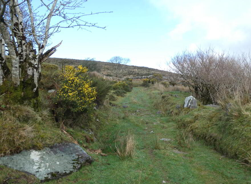 87.11 Acres, Of Agricultural Land, Derrineden, Waterville