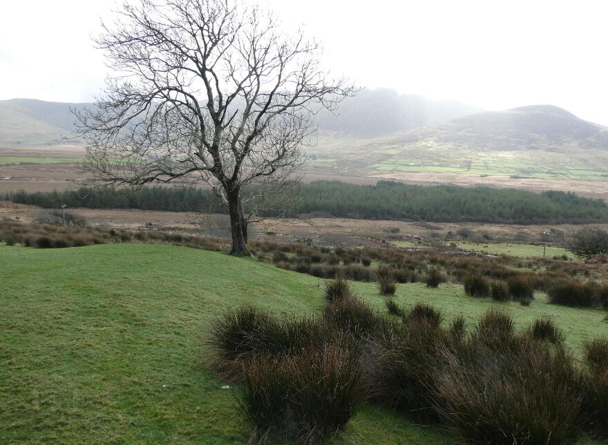 87.11 Acres, Of Agricultural Land, Derrineden, Waterville