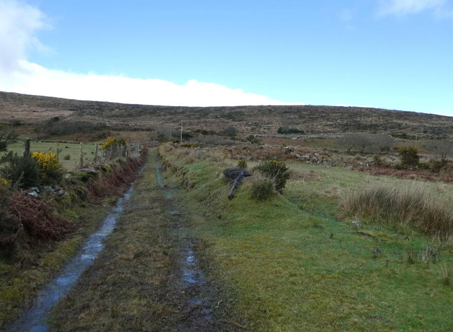 87.11 Acres, Of Agricultural Land, Derrineden, Waterville