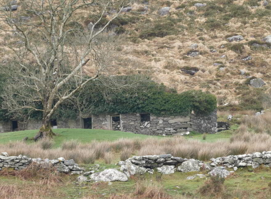 87.11 Acres, Of Agricultural Land, Derrineden, Waterville