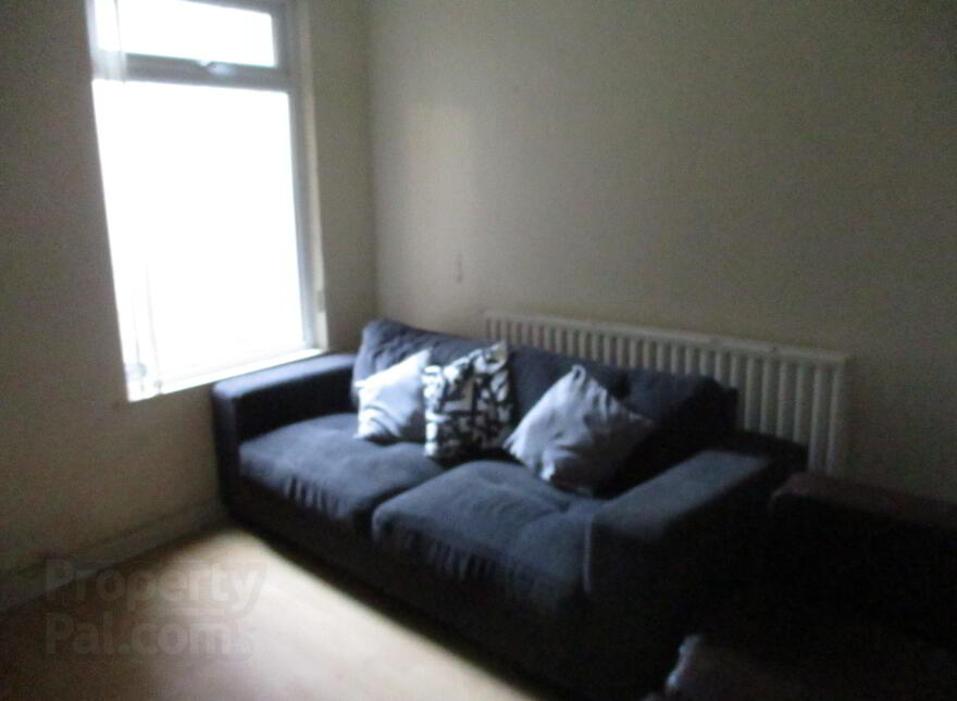 Great 2/3 Bedroom House, 50 Jerusalem Street, Queens Quarter, Belfast, BT7 1QP photo