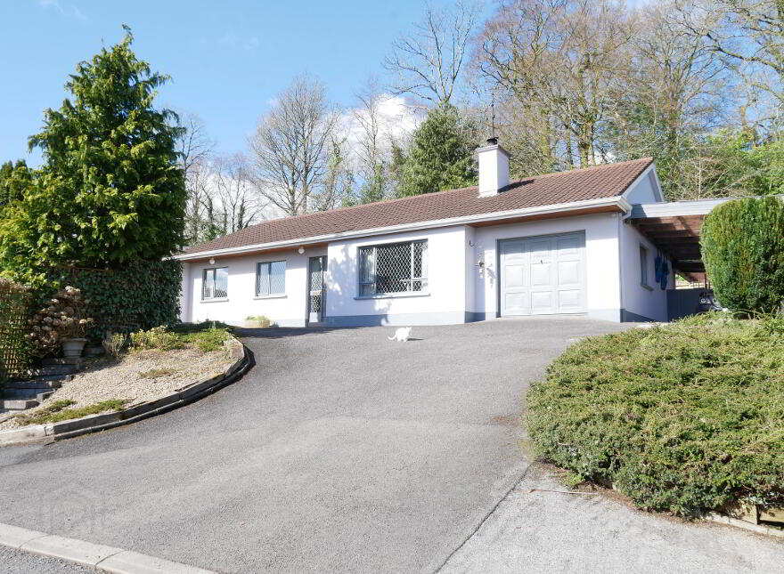 Detached houses For Sale in Enniskillen PropertyPal