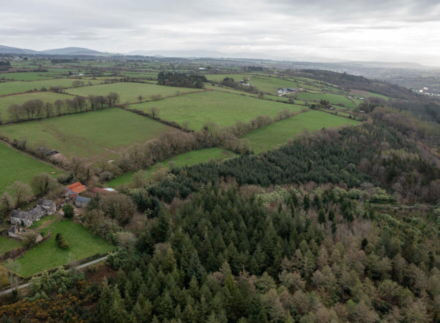 Rath House, Rath Lower, Lismore, P51E622
