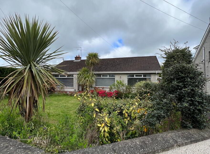 Houses For Sale in Banbridge Area PropertyPal