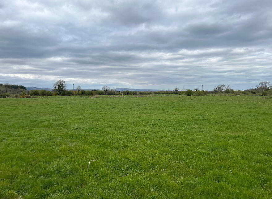 Circa 32.50 Acres Of Land At, Bellanacurra, Killasser, Swinford photo