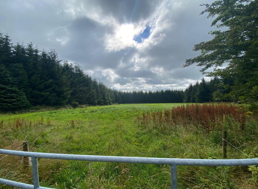 Site C. 2.27 Acres Glenpipe, Tullogher