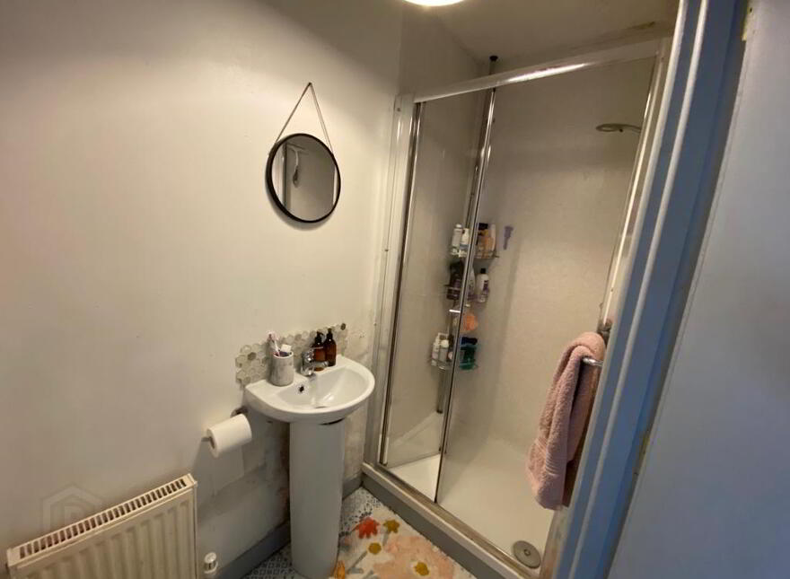 NON HMO, 48 Stranmillis Park, Belfast, BT9 5AU