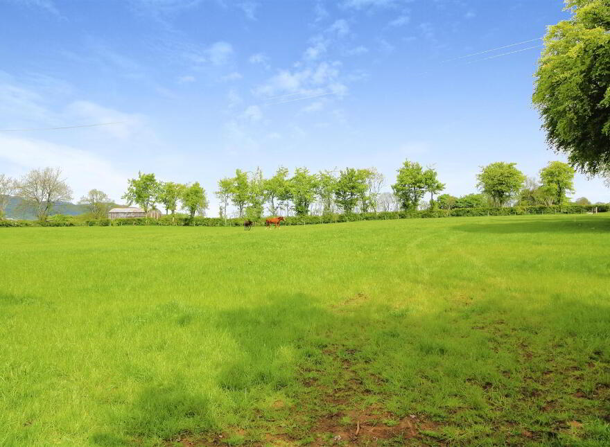 Land & Sites For Sale in Ballyclare Area PropertyPal