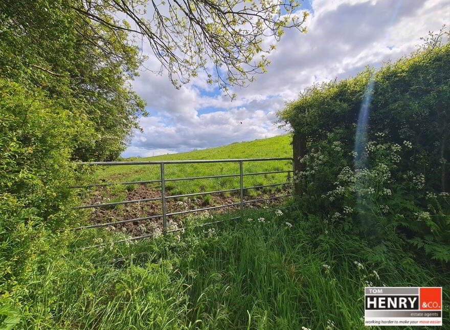 Land & Sites For Sale in County Tyrone PropertyPal