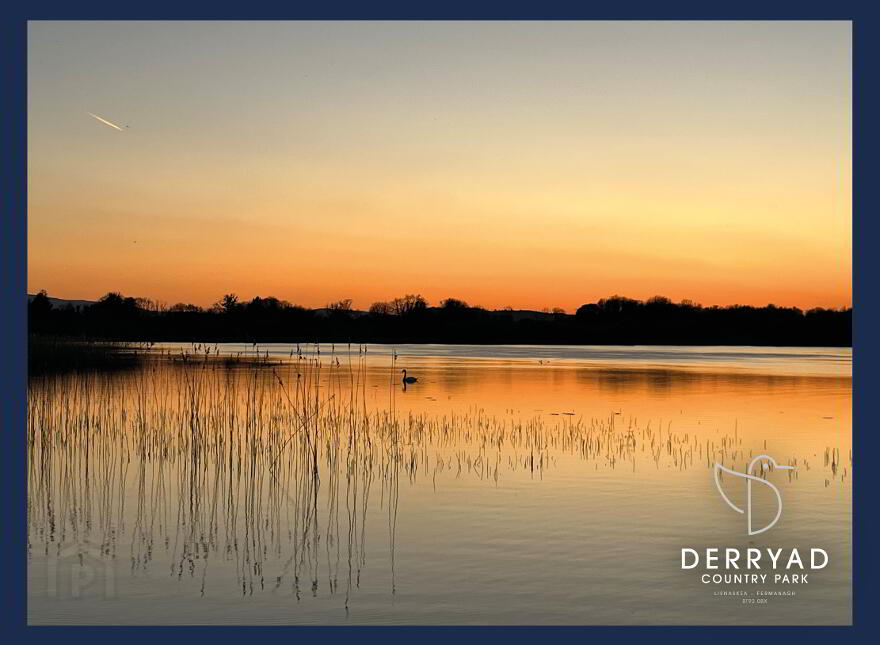 Sugi, Derryad Country Park, Lisnaskea, Fermanagh, BT92 0BX