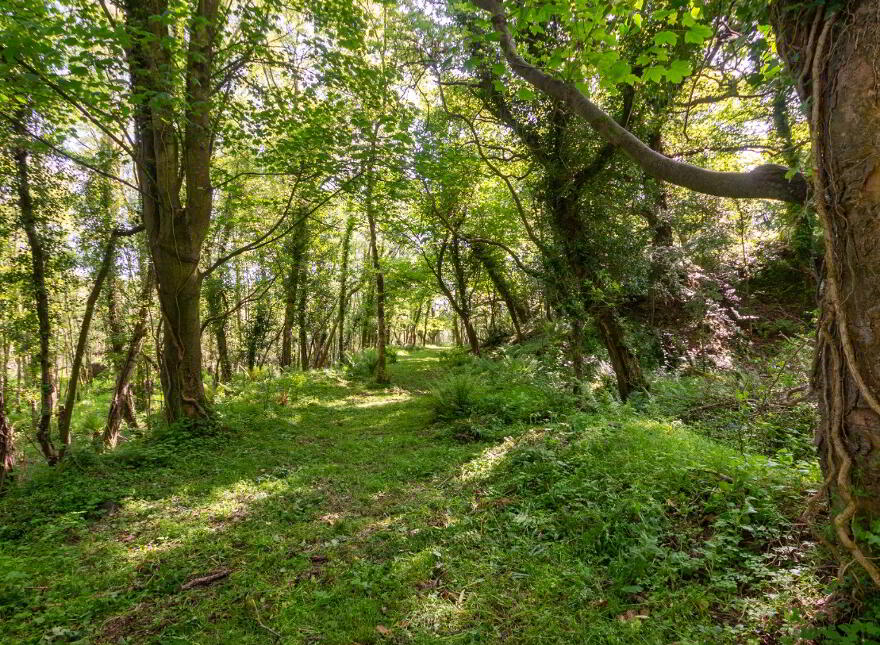 Salt Water Mill, 35A Killyleagh Road, Downpatrick, BT30 9BL