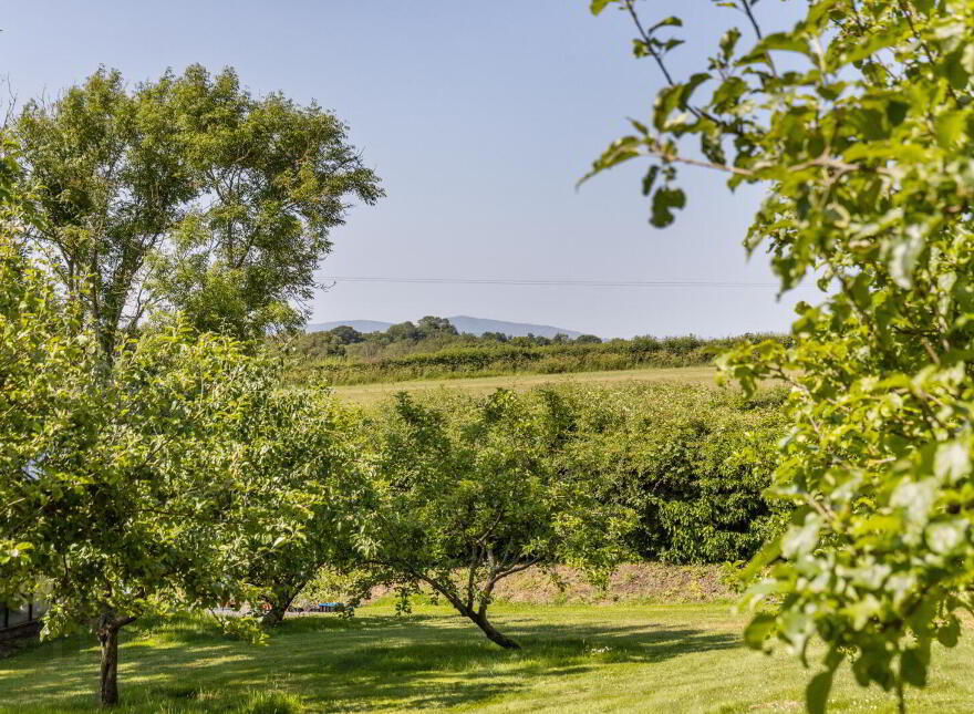 Carrigullian Cottage, 27a Killyleagh Road, Killinchy, BT23 6TD