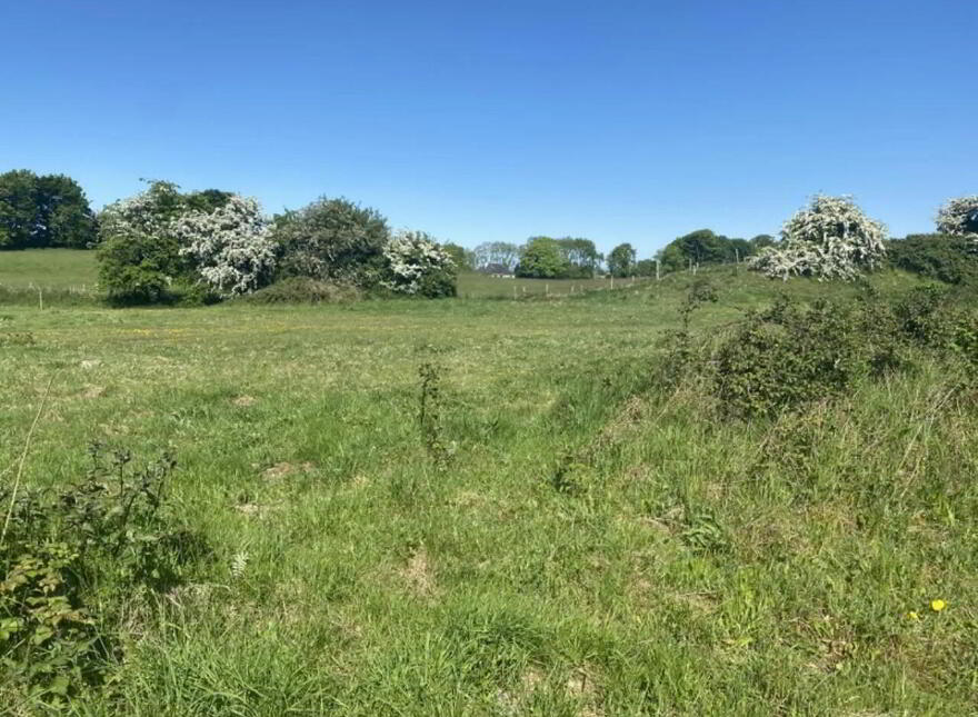 1.5 Acre Approx Residential Site SPP, Dromone photo