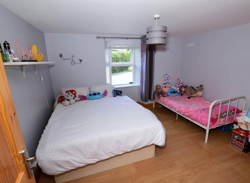 55 Drumcullan Road, Downpatrick, BT30 8JA