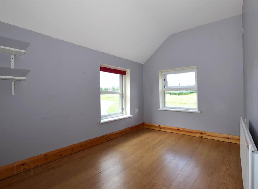 55 Drumcullan Road, Downpatrick, BT30 8JA