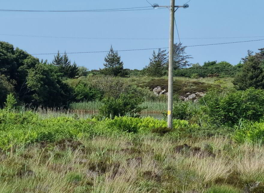 Saltpans, Maghery