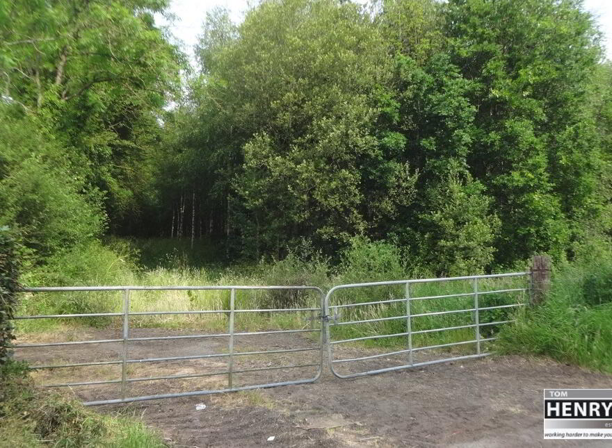 Land & Sites For Sale in Dungannon Area PropertyPal