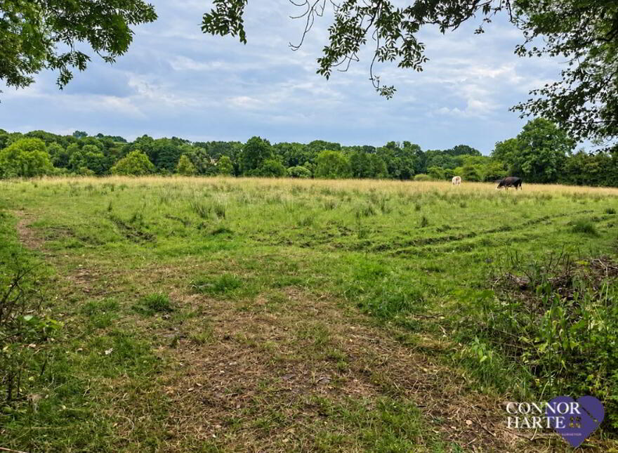 Lands, At The Crescent, Coagh, BT80 0BE