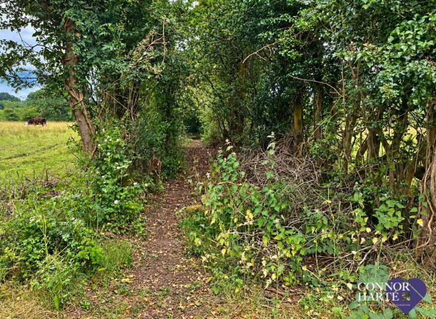 Lands, At The Crescent, Coagh, BT80 0BE