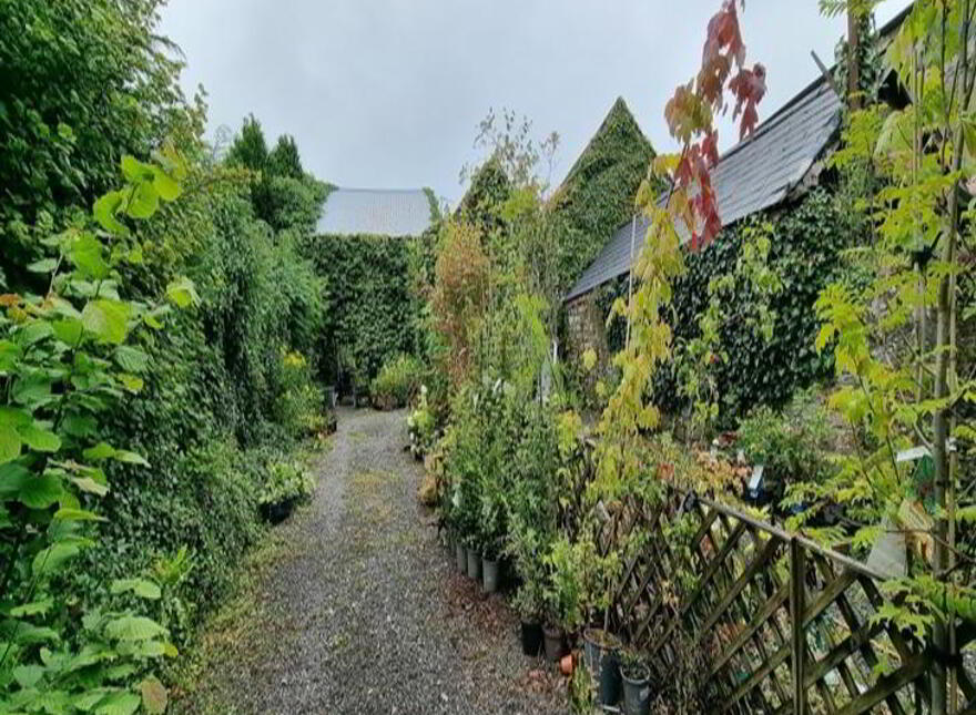 Main Street, Ballinamore, Leitrim, N41D2X3