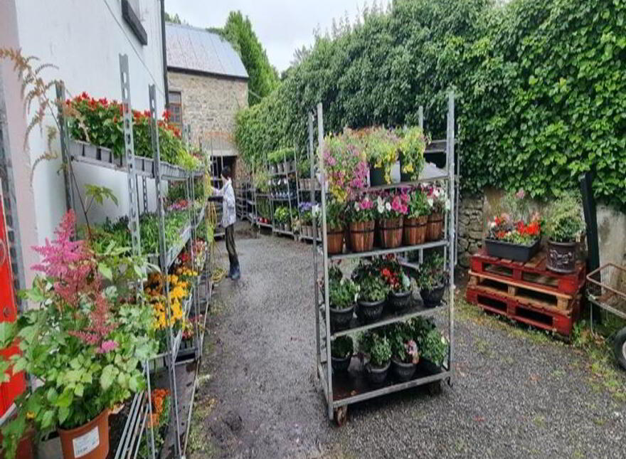 Main Street, Ballinamore, Leitrim, N41D2X3