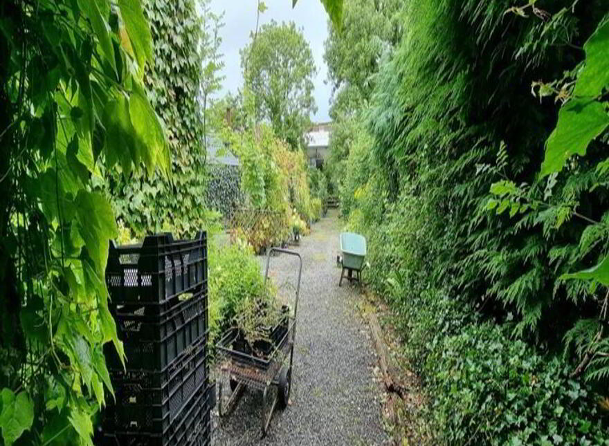 Main Street, Ballinamore, Leitrim, N41D2X3