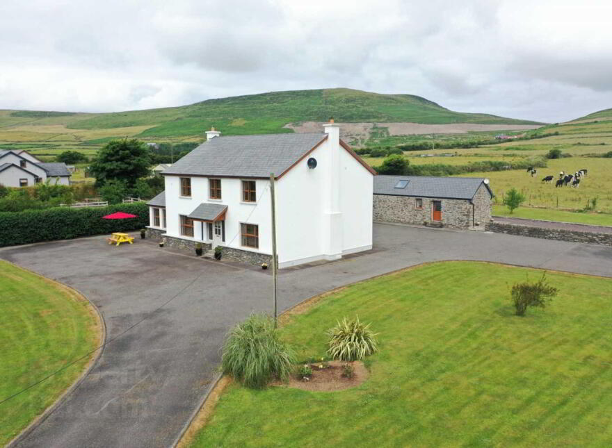 Reenconnell, Dingle photo