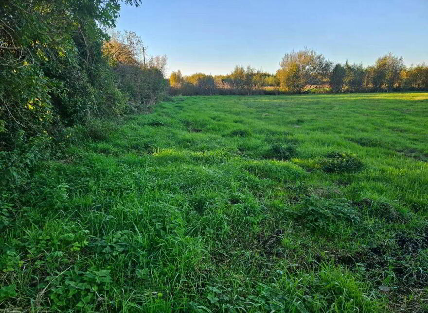 19 Acres Land, Approx, Cornacreevy, Finea