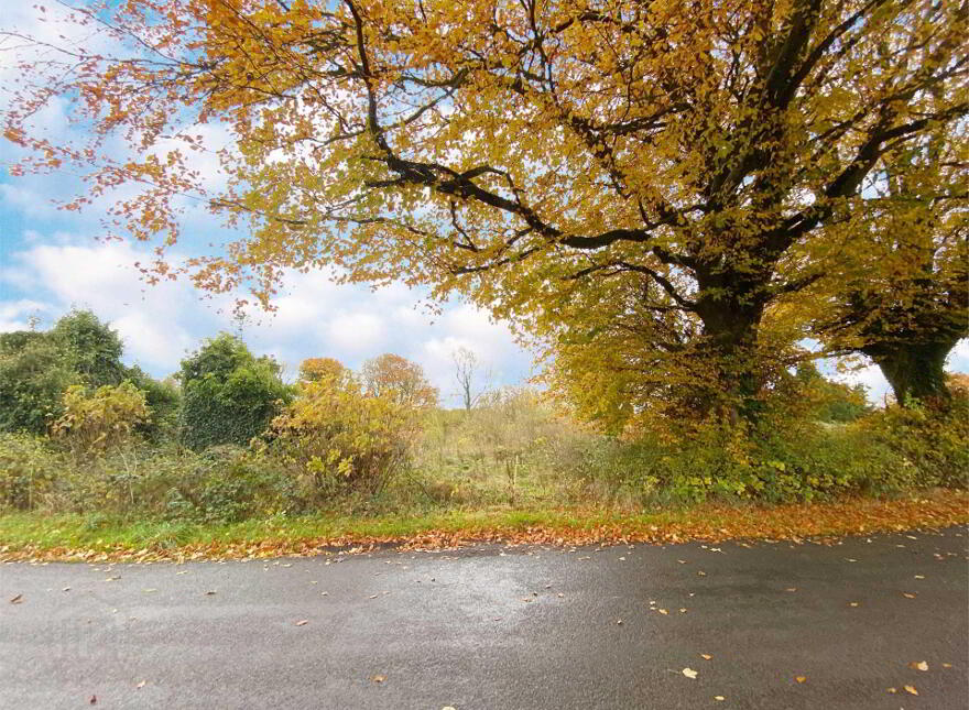 Seraghstown, Crossakiel, Kells