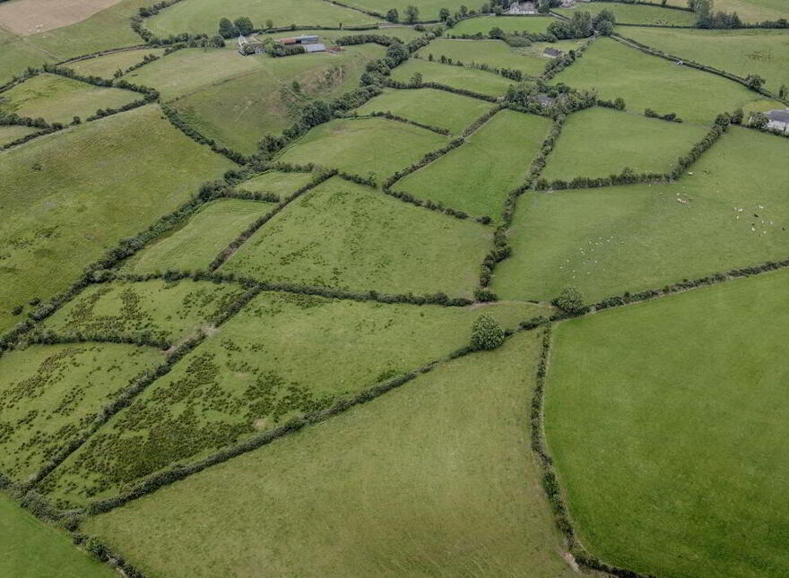 Derelict Dwelling On, C.14 Acres At Lisagoan, Kingscourt