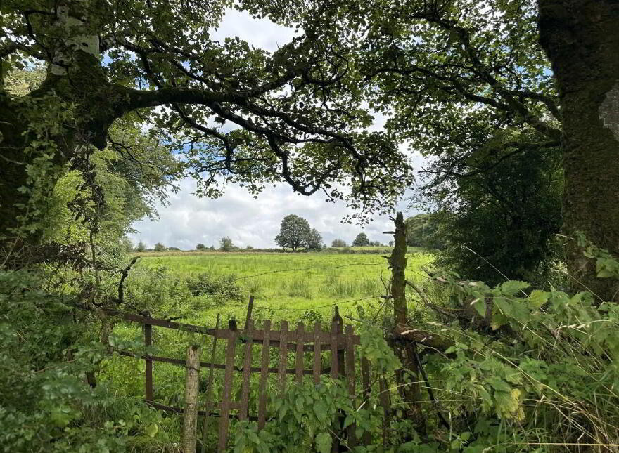 Attishane, Ballyhaunis, Cloonfad
