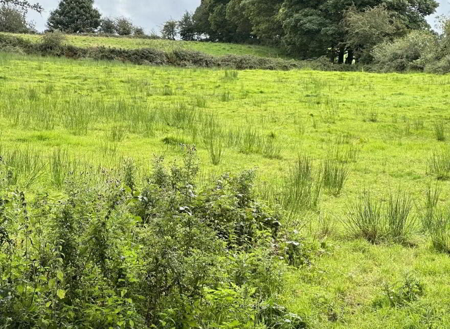 Attishane, Ballyhaunis, Cloonfad