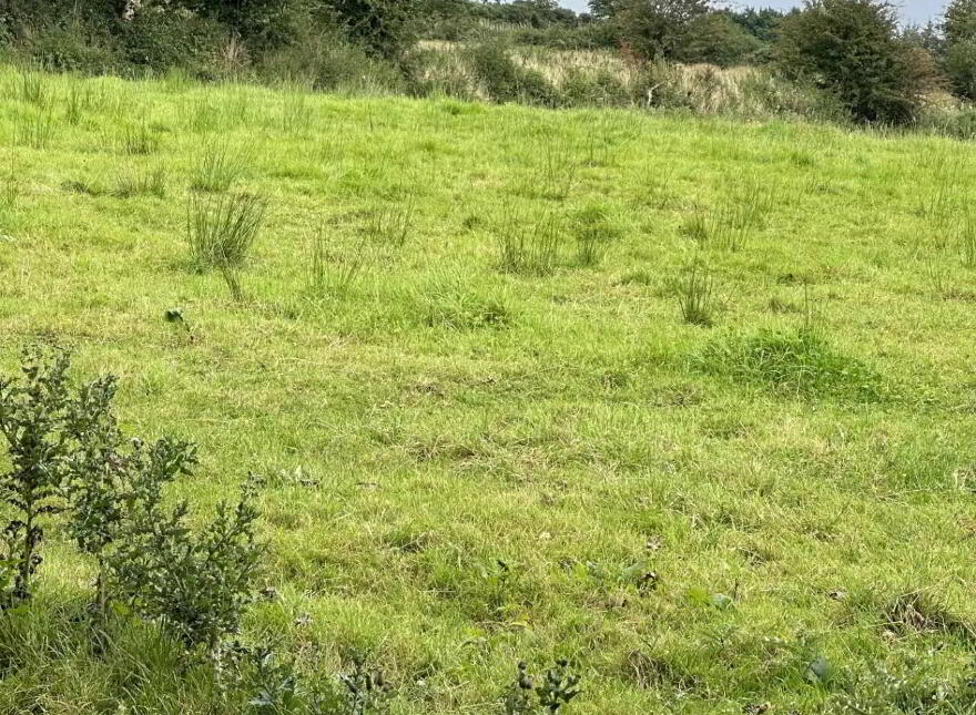 Attishane, Ballyhaunis, Cloonfad