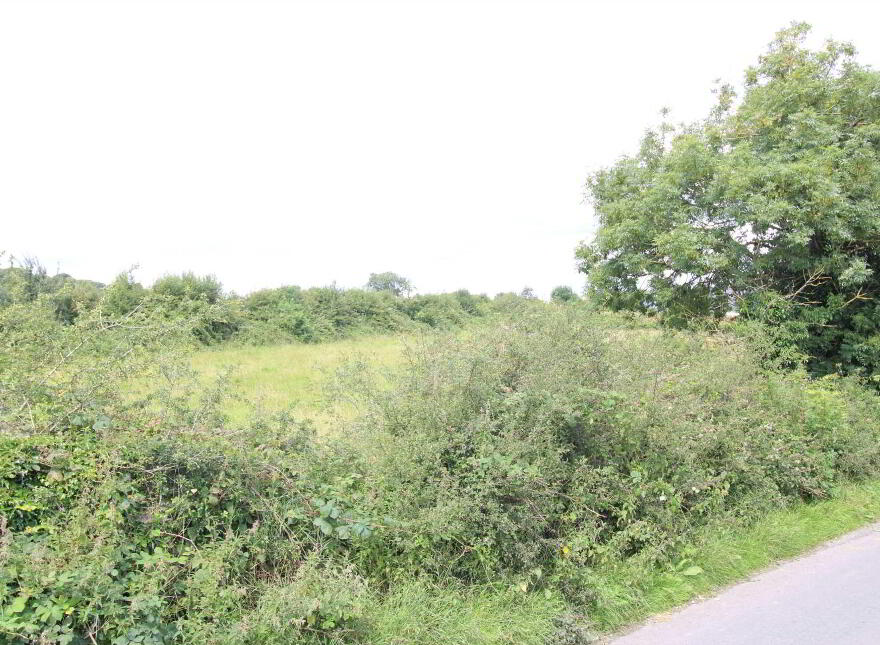 Tombricane, Borrisokane, Nenagh
