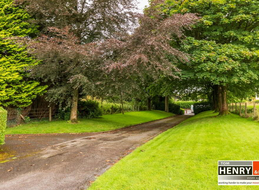 Moy Road, Dungannon, BT71 7DS