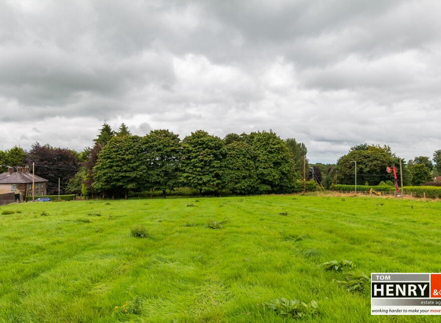 Moy Road, Dungannon, BT71 7DS