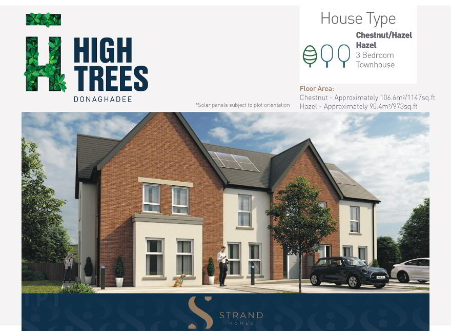 Phase 5  - Hazel, High Trees, Donaghadee