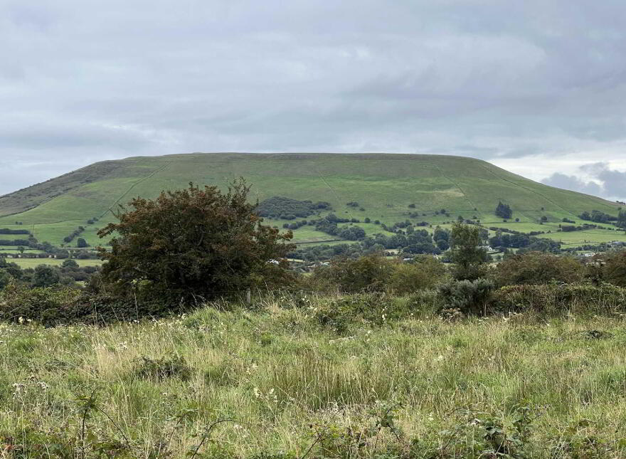 Branchfield, Carrownacreevy, Coolaney, F56Y735