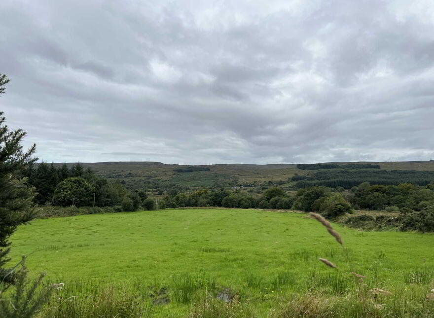 Branchfield, Carrownacreevy, Coolaney, F56Y735