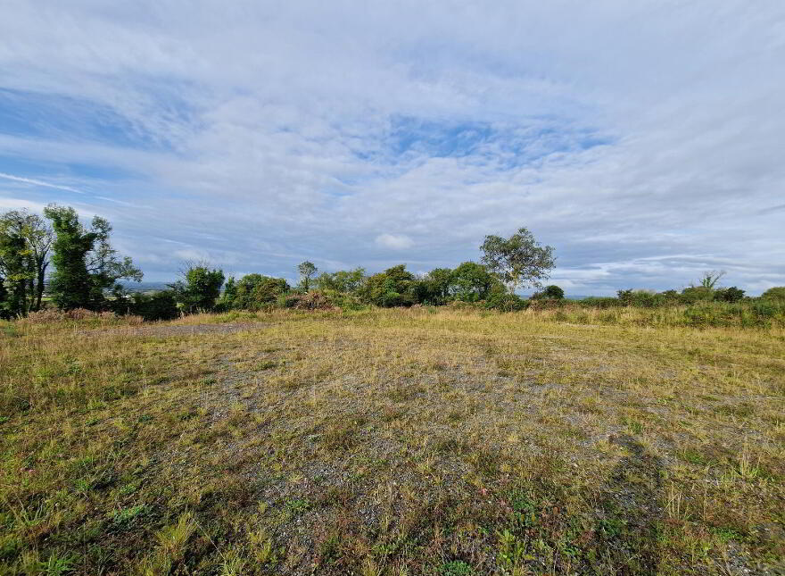 Castlepoles, Arva